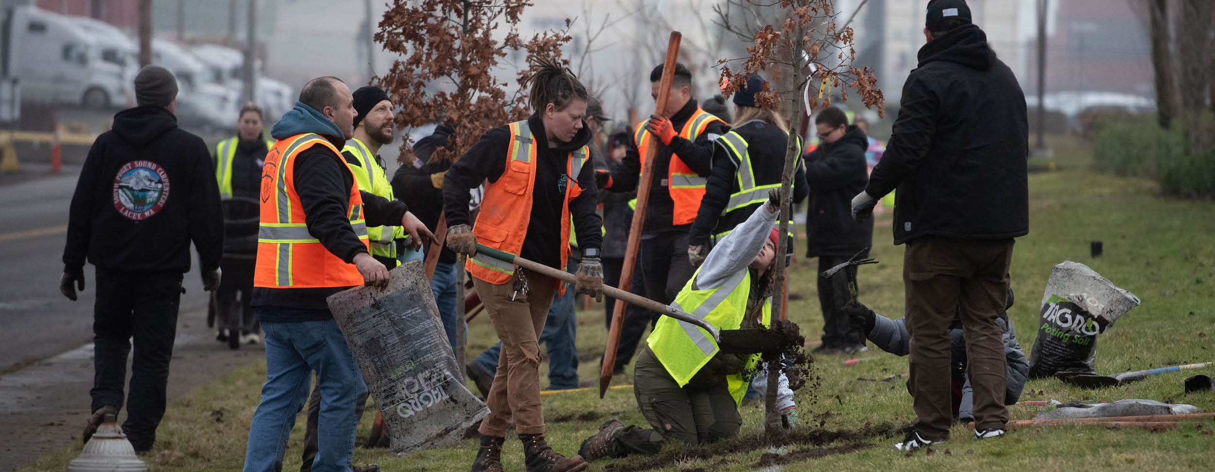 More than 70 volunteers came together to plant trees at the Port